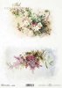 wiosenne kwiaty, kwiaty wiśni, fioletowe kwiaty*spring flowers, cherry blossoms, purple flowers*Frühlingsblumen, Kirschblüten, lila Blumen*flores de primavera, flores de cerezo, flores moradas